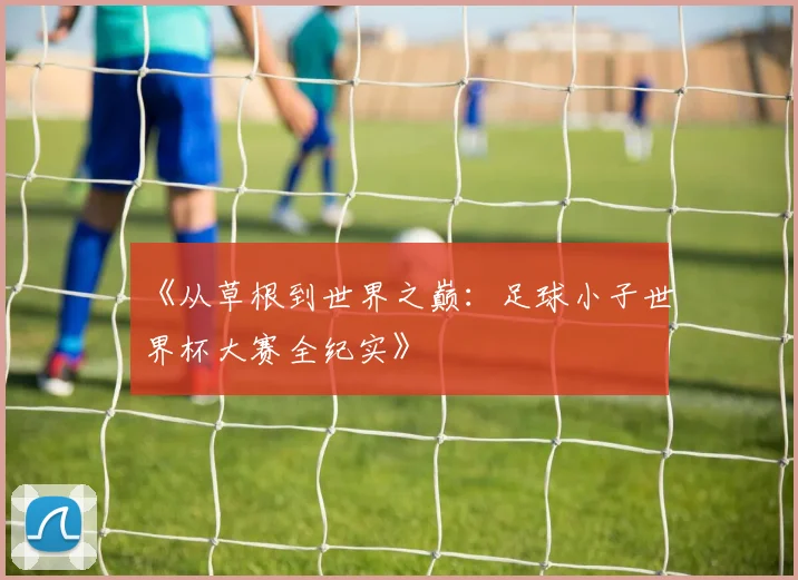 《从草根到世界之巅：足球小子世界杯大赛全纪实》