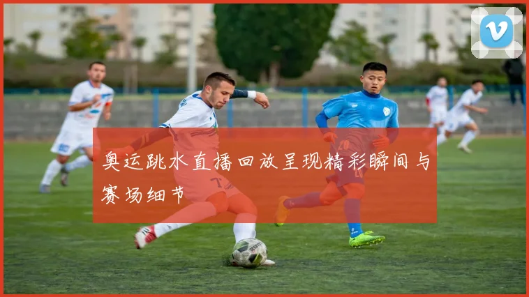 奥运跳水直播回放呈现精彩瞬间与赛场细节